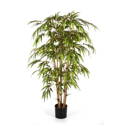 Bamboo tree-1